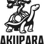 Thumb akupara games company logo  ve