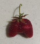 Strawberry gamepad