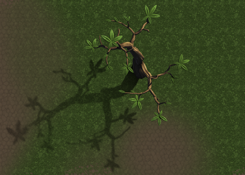 tree.png