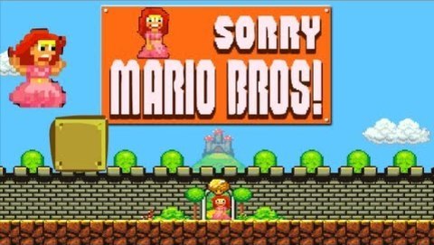 Sorry Mario Bros. (Прости Марио)