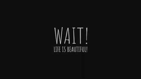 Wait! Life is Beautiful! – Gameplay Trailer