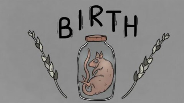 Birth Trailer