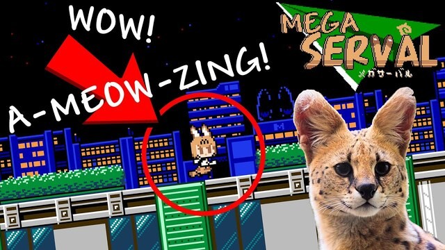 Mega Serval (メガサーバル) Trailer - Kemono Friends fan game